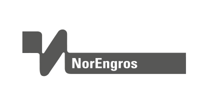 Doi-tac-norEngros