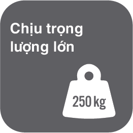 giuong-malsch-chiu-trong-tai-lon